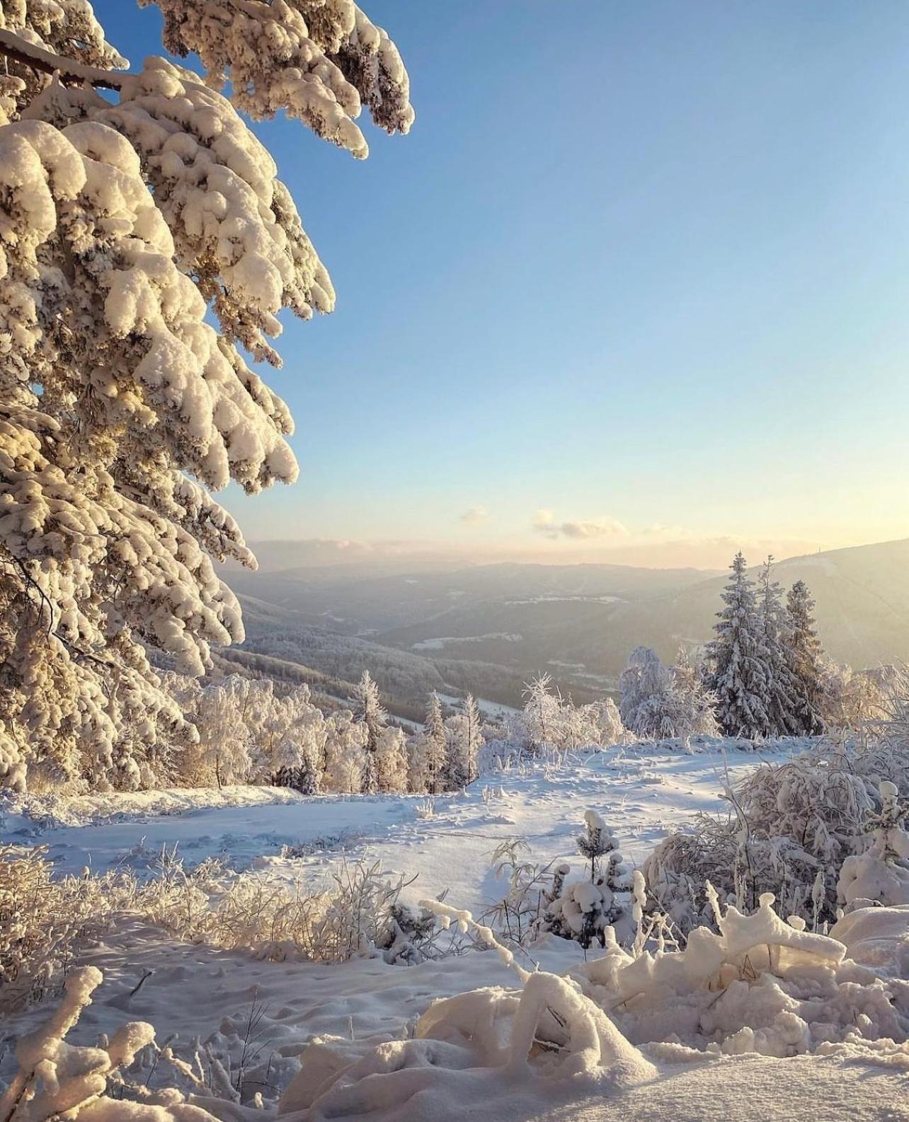 Ustronne Zacisze - Ustron Zdroj Zeta Park Daire Dış mekan fotoğraf