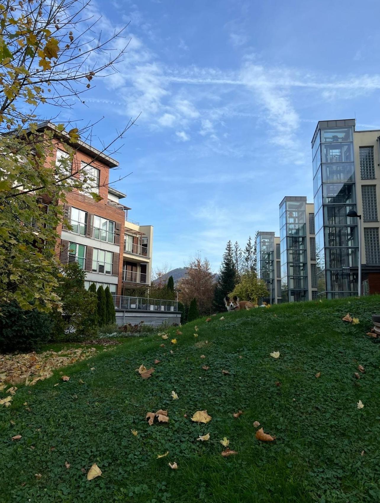 Ustronne Zacisze - Ustron Zdroj Zeta Park Daire Dış mekan fotoğraf